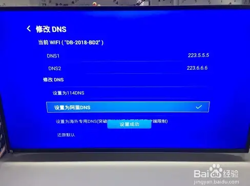 策略指导🔥弹弹堂凤凰与蛇终极选择推荐解析