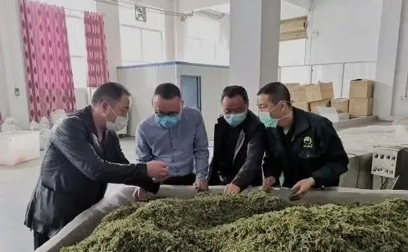 还在为找不到资源发愁？磁力宝cilimao一键搜索万能磁力链接！