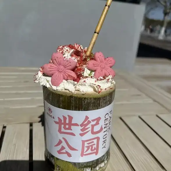 格斗🔥技能详解🔥实力对比 拳皇97京与辉辉全面分析