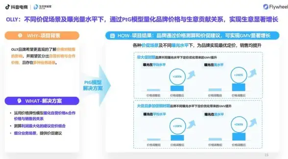 角色解析🎯黑色信标丽兹精彩背景揭秘详解
