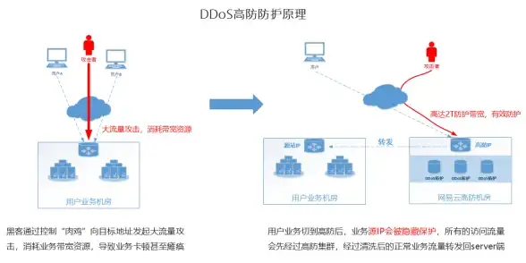游戏攻略🔥神仙道网页版新手快速升级技巧揭秘，一天能升多少级？