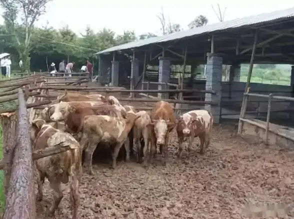 截图📸操作—详细解析截图操作步骤与实用技巧