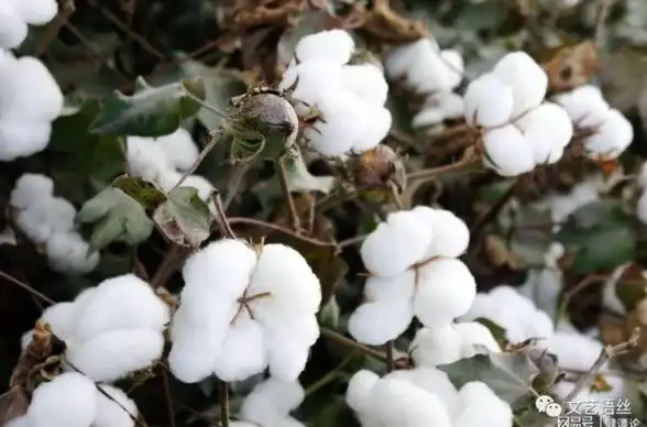 想体验“酷炫叼炸天”的音乐播放器？汽水音乐APP满足你的所有期待！