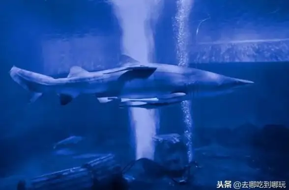 手机体验｜联想乐檬k3：轻薄机身与高性能体验兼得
