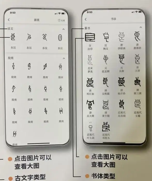 视频下载 网页视频一键下载工具，免费高效轻松获取你想要的视频