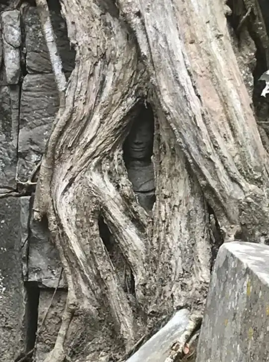 云服务器,带宽资源-歌风网络云主机呼和浩特机房带宽资源详解