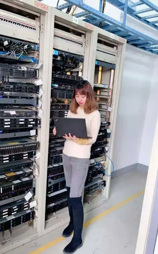 测评-服务器,衡天云日本电信CN2服务器体验报告