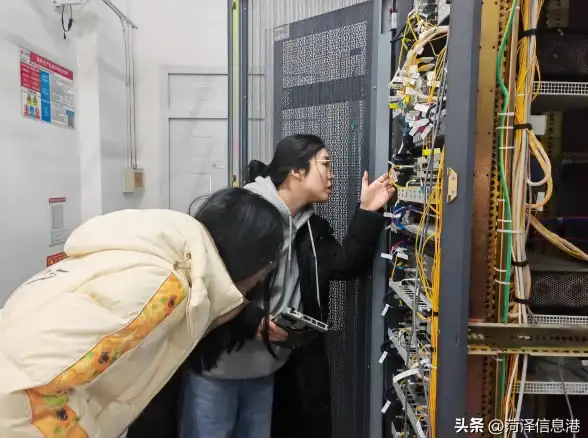 实用案例｜免费FTP服务器省钱诀窍大公开！降本增效助力IT企业—IT解决方案