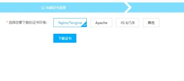 服务器部署 系统安装 如何在服务器上快速高效地安装Windows操作系统？