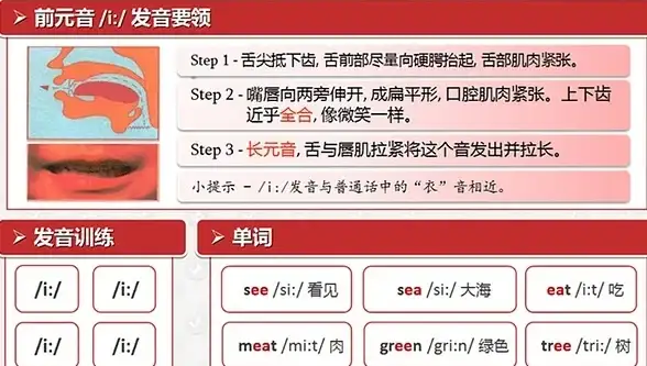带宽选择,企业上网-Cogent高性价比带宽适合中小企业