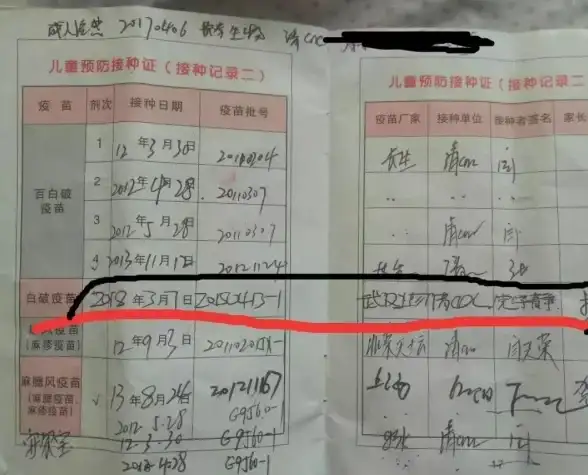 网络诊断 网页无法打开？全方位排查网络故障解决指南