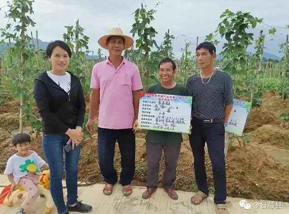 宠物对比▪新手必看▪技能详解丨弹弹堂狐狸VS未来宠物谁更强？