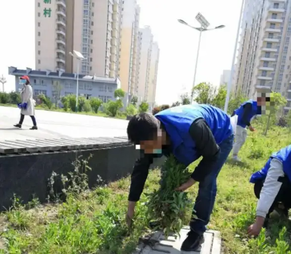 CDN优化,多云部署-多云融合下泉州CDN节点部署建议