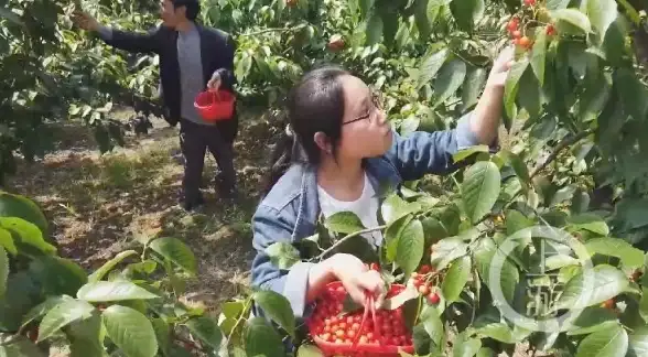 策略秘籍🔥圣物英雄神魔战场新手必备入门技巧与玩法指南