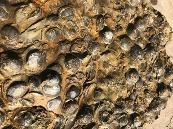担心封号不敢用换肤软件？兔子换肤助手安全操作，LOL手游皮肤随心换，还等什么？