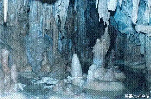 想高效背单词又怕枯燥？英语墨墨单词APP趣味抗遗忘，你的词汇量准备好了吗？