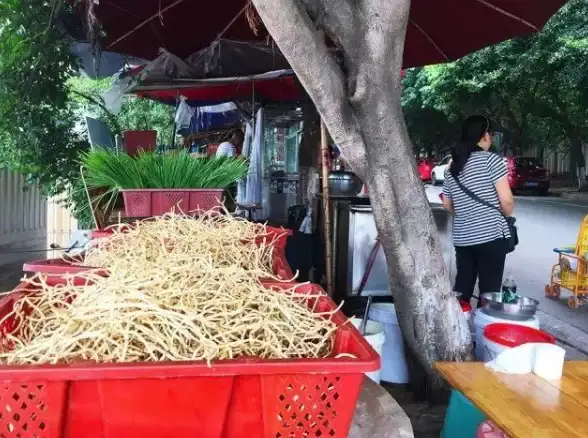 攻略秘籍🔥暗区突围孤望身影全关卡详细解析与实用打法指南