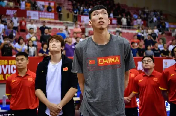 高防御-低延迟,香港高防服务器成志网络稳定低延迟推荐