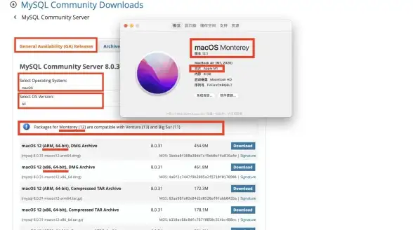 数据库管理|系统维护|Linux系统中彻底卸载MySQL数据库的方法与步骤