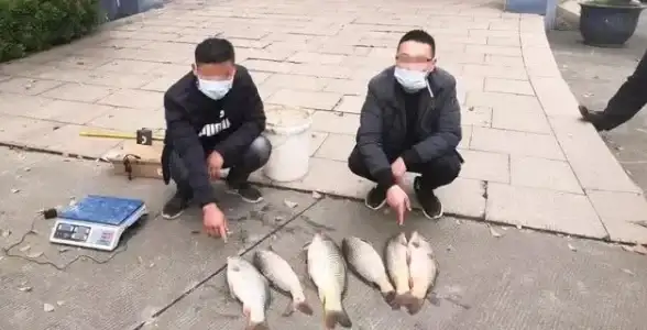 ASP开发 图片路径 为什么在ASP中图片路径总是出错？