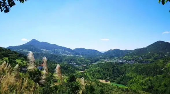 武器🔥攻略🔥升级 真三国无双 起源》摧鸾终极强化指南