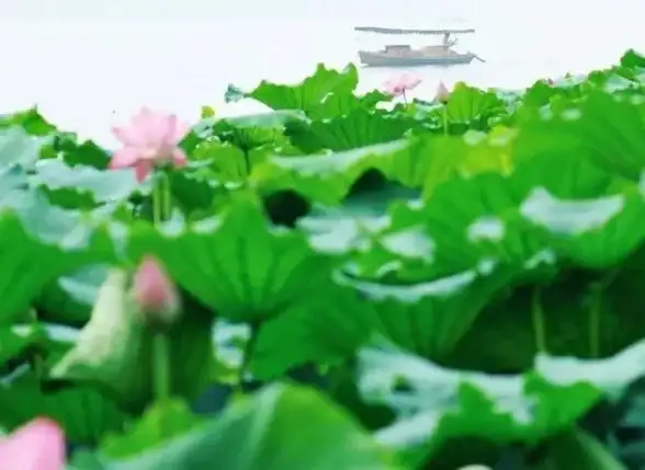 游戏秘籍🔥神仙道完美传承元宝快速获取全攻略
