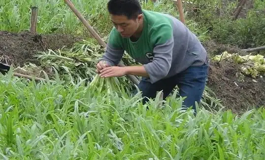 高防云服务,企业专线-浙江金华冬邦云高防云服务，企业级专线部署