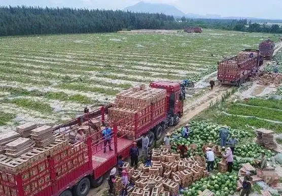 想要一款开源免费又轻量的电子墨水屏浏览器？einkbro让你惊叹！