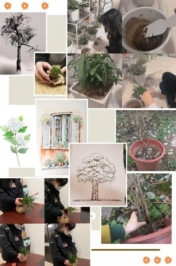 硬件推荐🎮显卡天梯图更新：桌面和笔记本用户选购权威参考