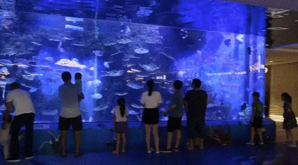 无线网络共享 有线连接异常：为何启用CMD命令共享WiFi后有线网络无法正常连接？