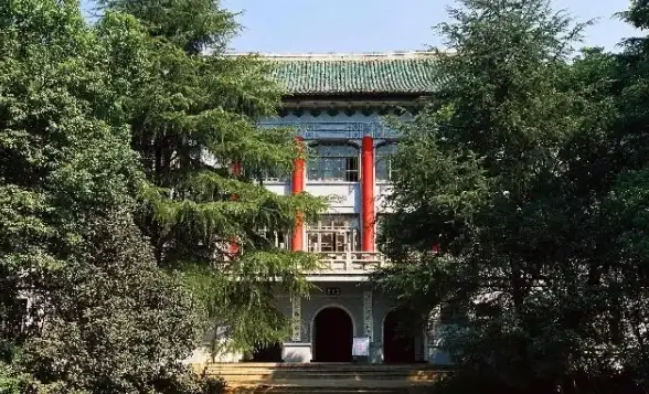 军事🔥实战技巧🔥反坦克战 详解《人间地狱》反坦克兵精准射击秘籍