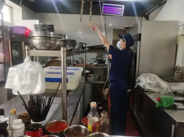 谁说手机不能专业调音？这款钢琴调音APP让你随时随地精准校音！