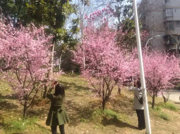 微信零钱💡限额🔑如何快速解决微信零钱限额问题