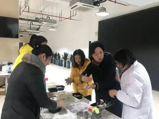 公会战🔥阵营选择攻略 推荐最佳阵营分析全解