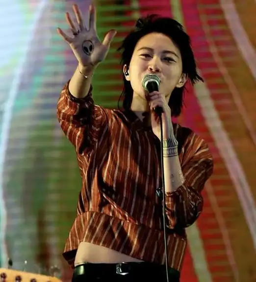 录音🎤电脑录歌软件推荐：热门唱歌工具排行榜全解析