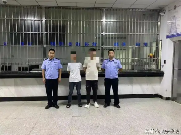 CDN,电信网络-湖北咸宁CDN节点优化电信网络性能