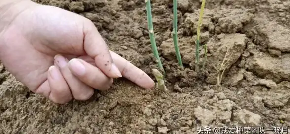 排版优化✨行距设置—Word与Excel行间距调整方法全解，详细规范操作流程