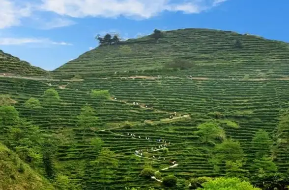 处理器榜单 性能巅峰 2022年度顶级CPU天梯图深度解析强劲芯片阵容