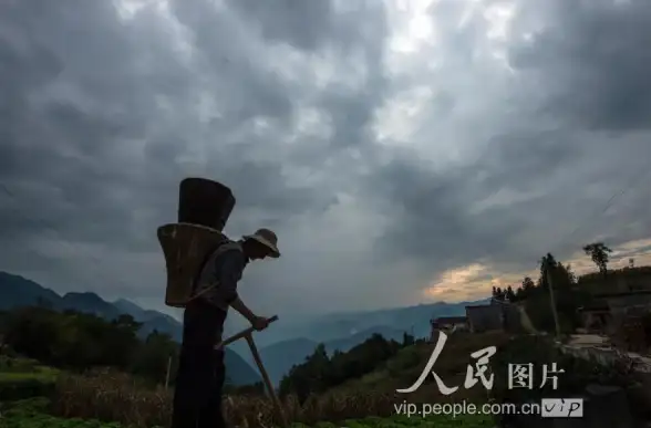 显卡排行 DX11显卡天梯图：权威解析各大品牌显卡性能最新排名