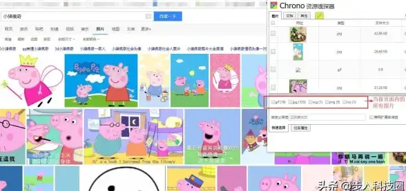 视频资源 网页视频下载技巧全解析，助你高效获取所需资源