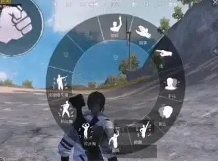 手游推荐🎮和平精英国际服下载手机版操作指南与FAQ全面解读