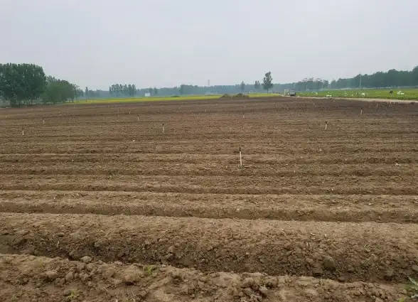 还在为课后学习烦恼？题拍拍APP为你提供全方位学习解决方案！
