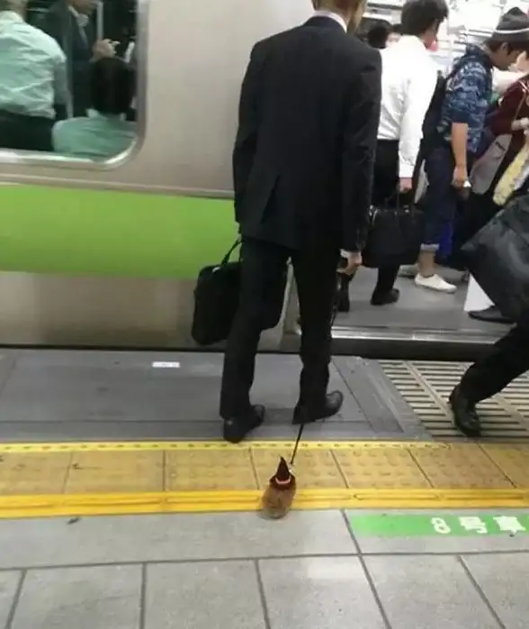 冒险挑战🔥地铁逃生宠物大比拼 谁才是最强英雄揭秘