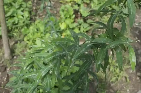 还在为射击游戏瞄不准发愁？试试准星英雄，轻松提升你的瞄准精度！