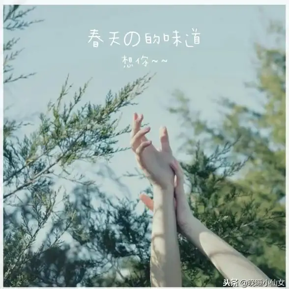 电脑提速🚀效率提升｜小鱼教您实用windows优化工具推荐，轻松提升电脑运行效率