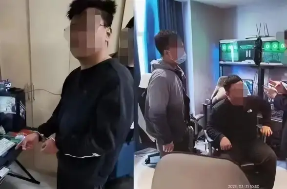 解析｜防护升级！卡盟源码内幕曝光⚡分站数据合规警示—行业聚焦