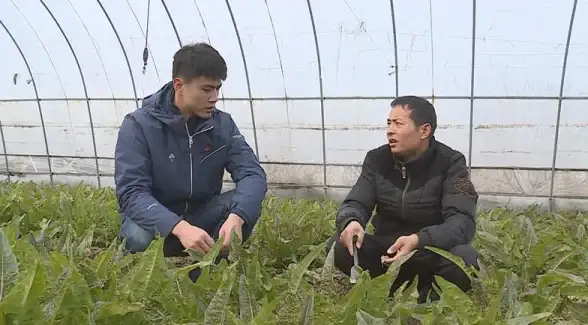 游戏攻略🎮策略技巧 梦幻模拟战手游光辉练兵场高效实用练习方法揭秘