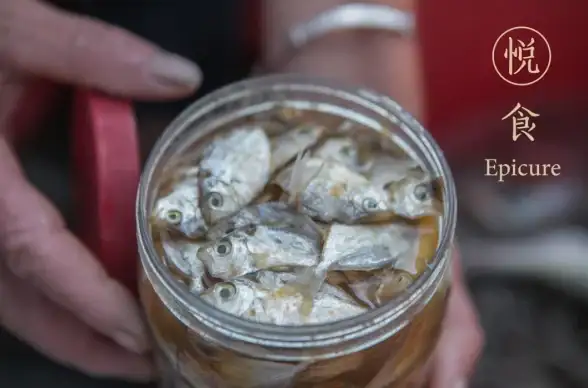 货运司机如何高效接单？试试蜂羽司机版app，订单秒抢不等待！
