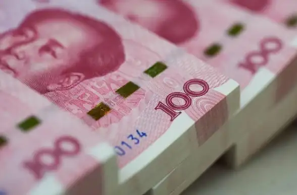 轻云浏览器安卓版，谁说简约型工具不能既高效又好用？