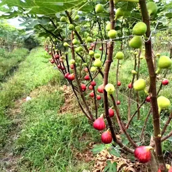电脑技巧💡休眠与睡眠模式的区别详解